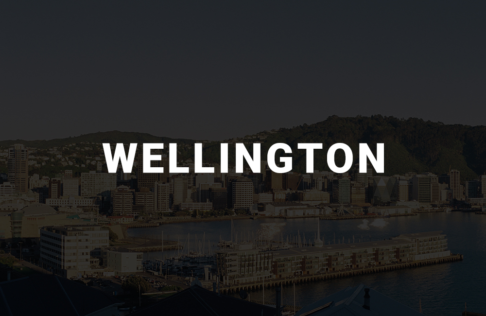 app development company in wellington