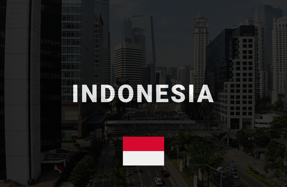 app development company in indonesia