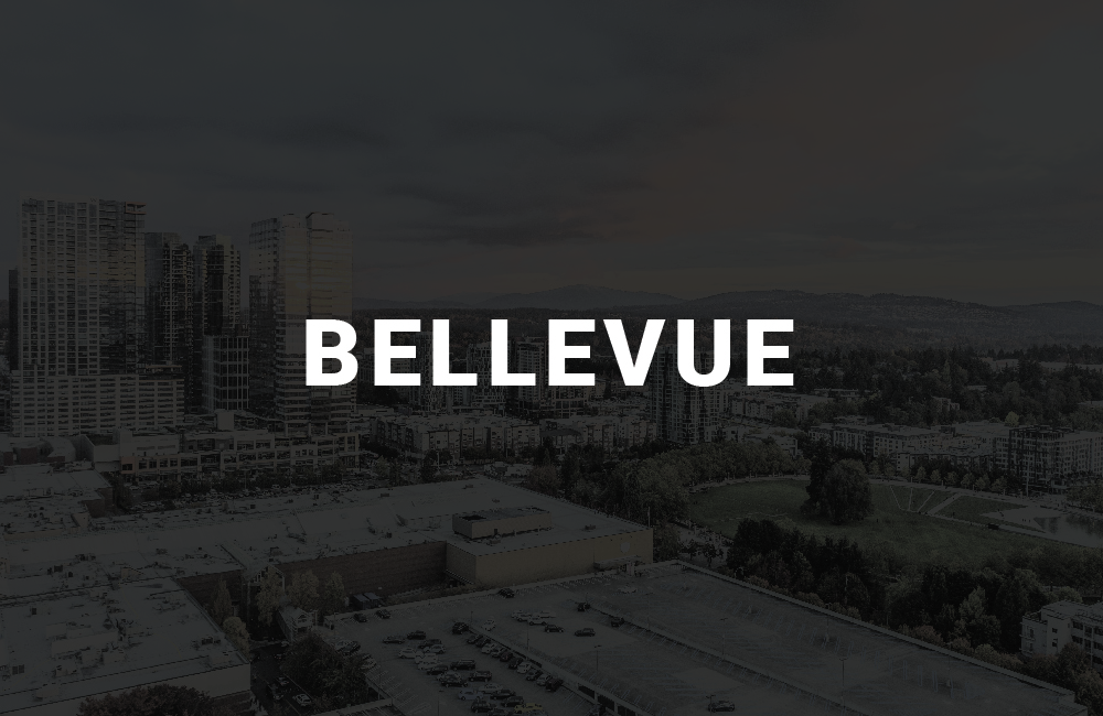 app development company in bellevue