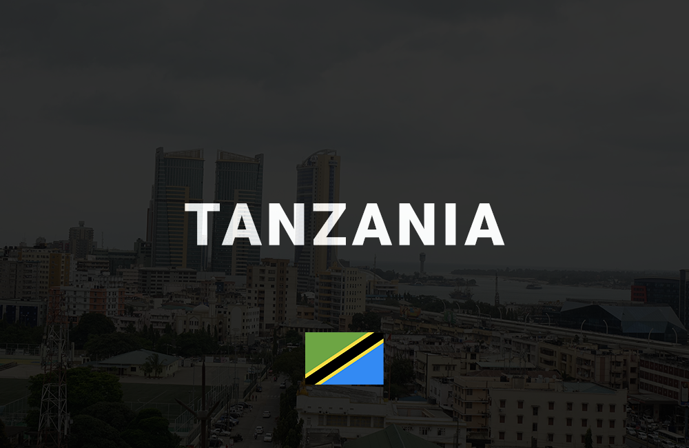 app development company in tanzania