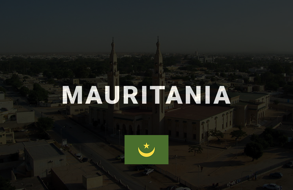 top mobile app development company in mauritania