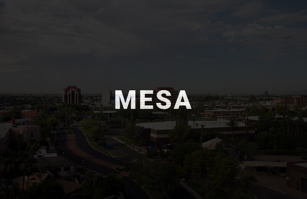 top mobile app development company in mesa